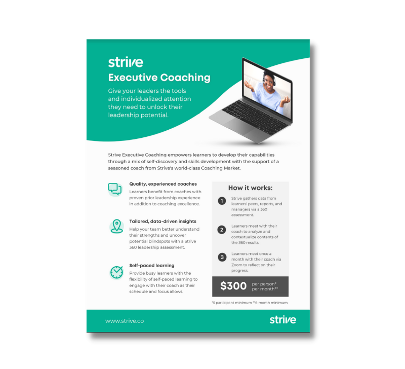 Executive Coaching info sheet
